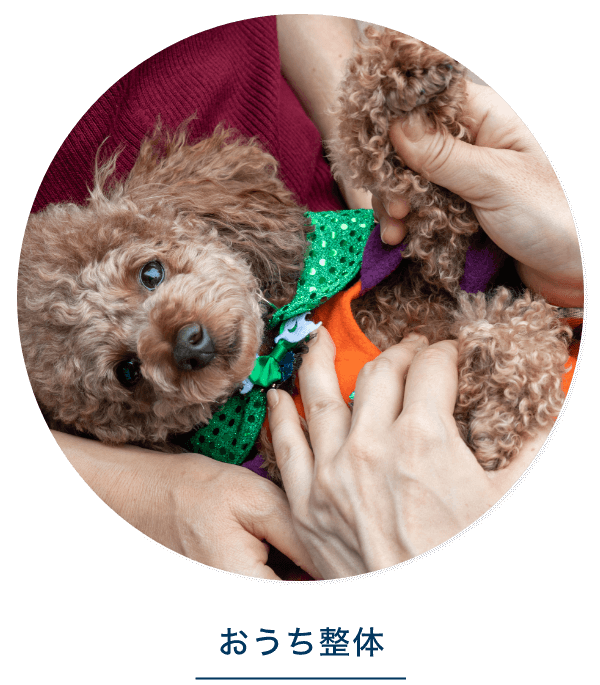 おうち整体